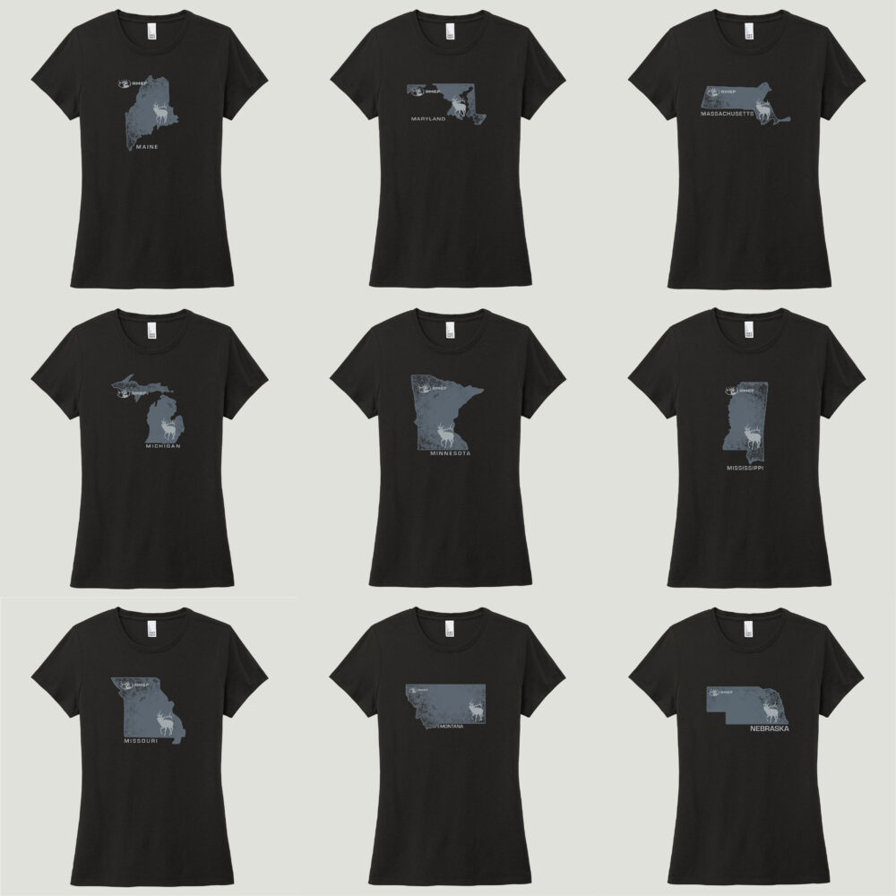 Ladies State Shirt